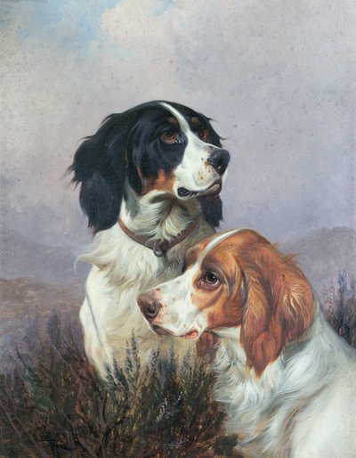 Setters on a Moor, 1892 by Colin Graeme